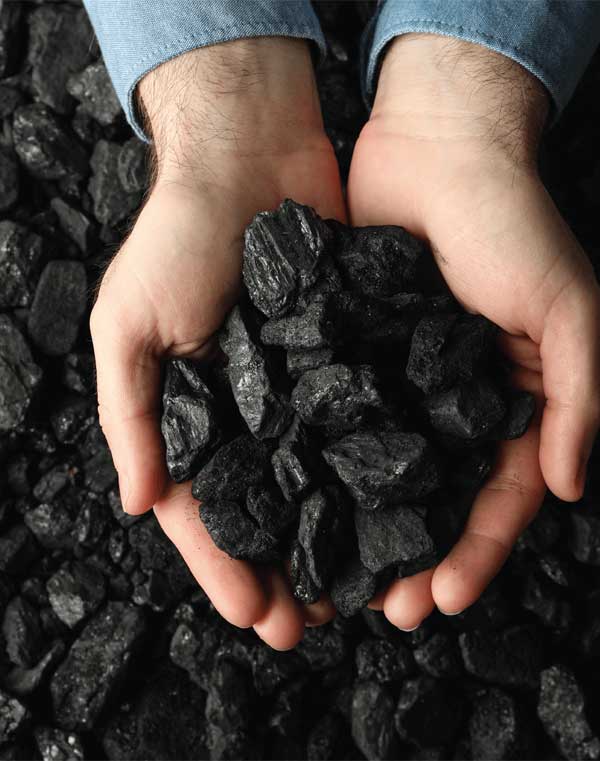 Coal