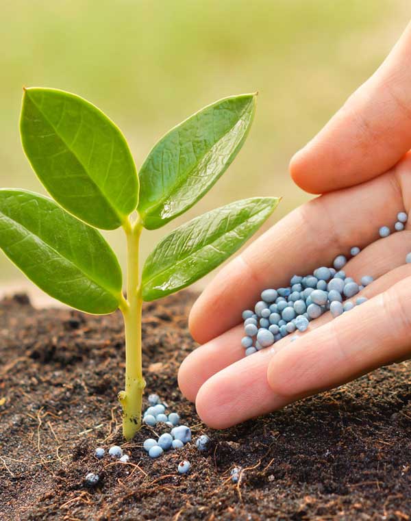 Fertilizer